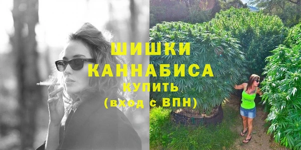 шишки Вязники