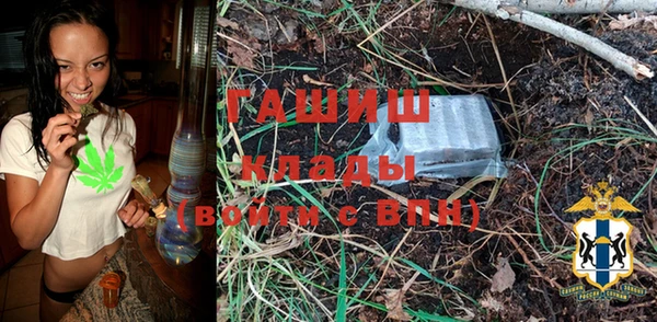 шишки Вязники
